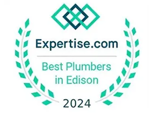 Best Plumbers in Edison Badge